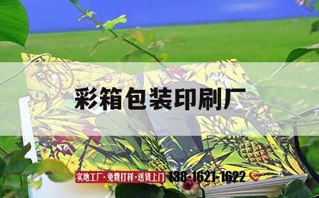 彩箱包裝印刷廠｜彩箱包裝印刷公司