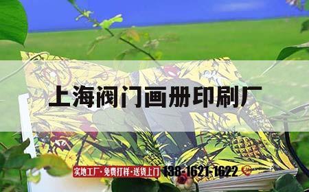 上海閥門畫冊印刷廠｜上海閥門設(shè)計比較好的公司  第1張